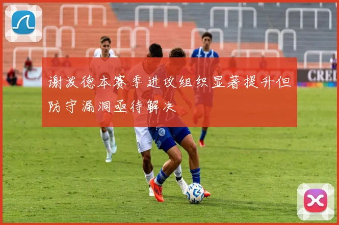 谢泼德本赛季进攻组织显著提升但防守漏洞亟待解决