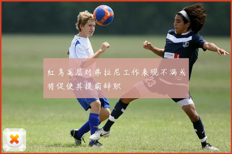 红鸟高层对弗拉尼工作表现不满或将促使其提前辞职